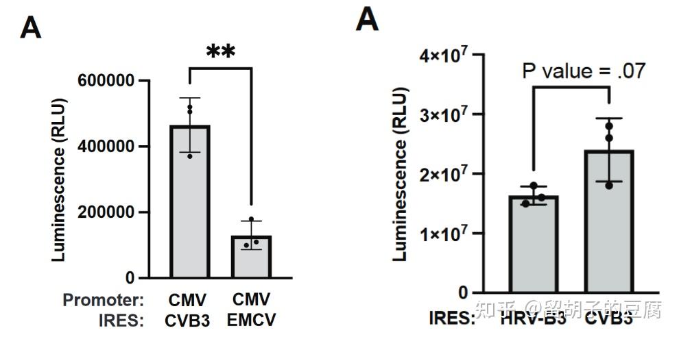 VLP递送Tornado系统表达的circRNA,实现更长久的蛋白表达 - 知乎