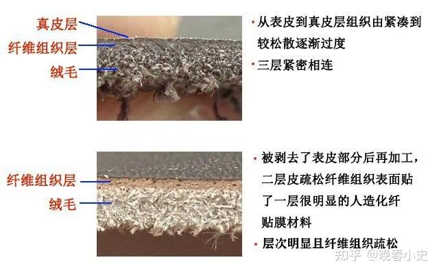 皮料知识大全图片图片