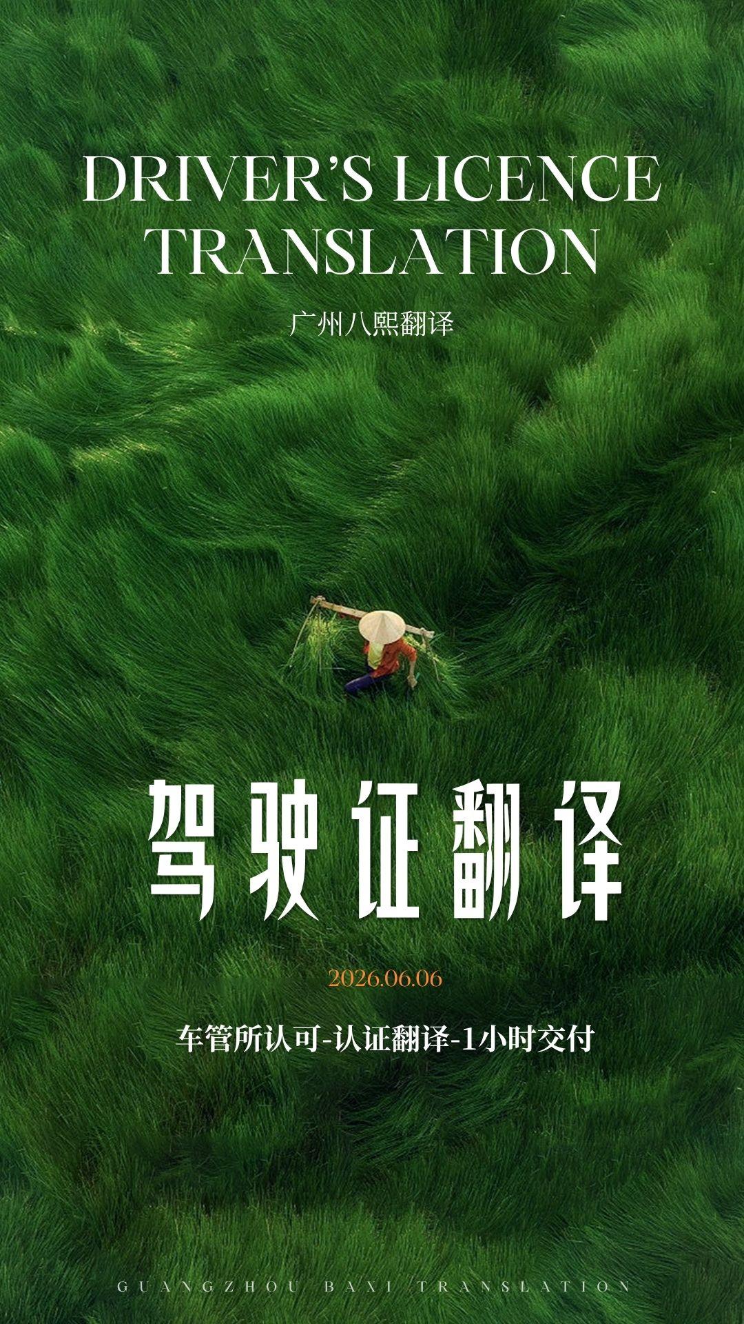 车管所不会告诉你的：国外驾照翻译的 7 个冷知识