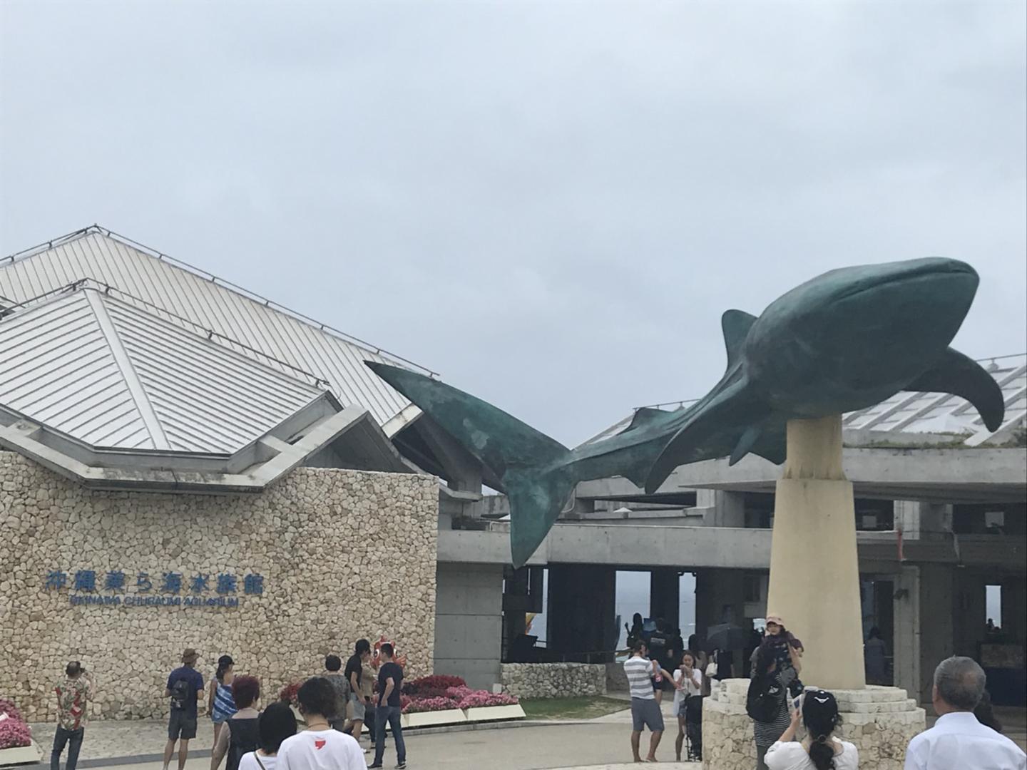 冲绳美丽海水族馆实体票,马蜂窝自由行 - 马蜂窝自由行