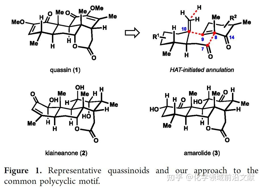 JACS:14步完成(+)-Quassin的不对称全合成 - 知乎