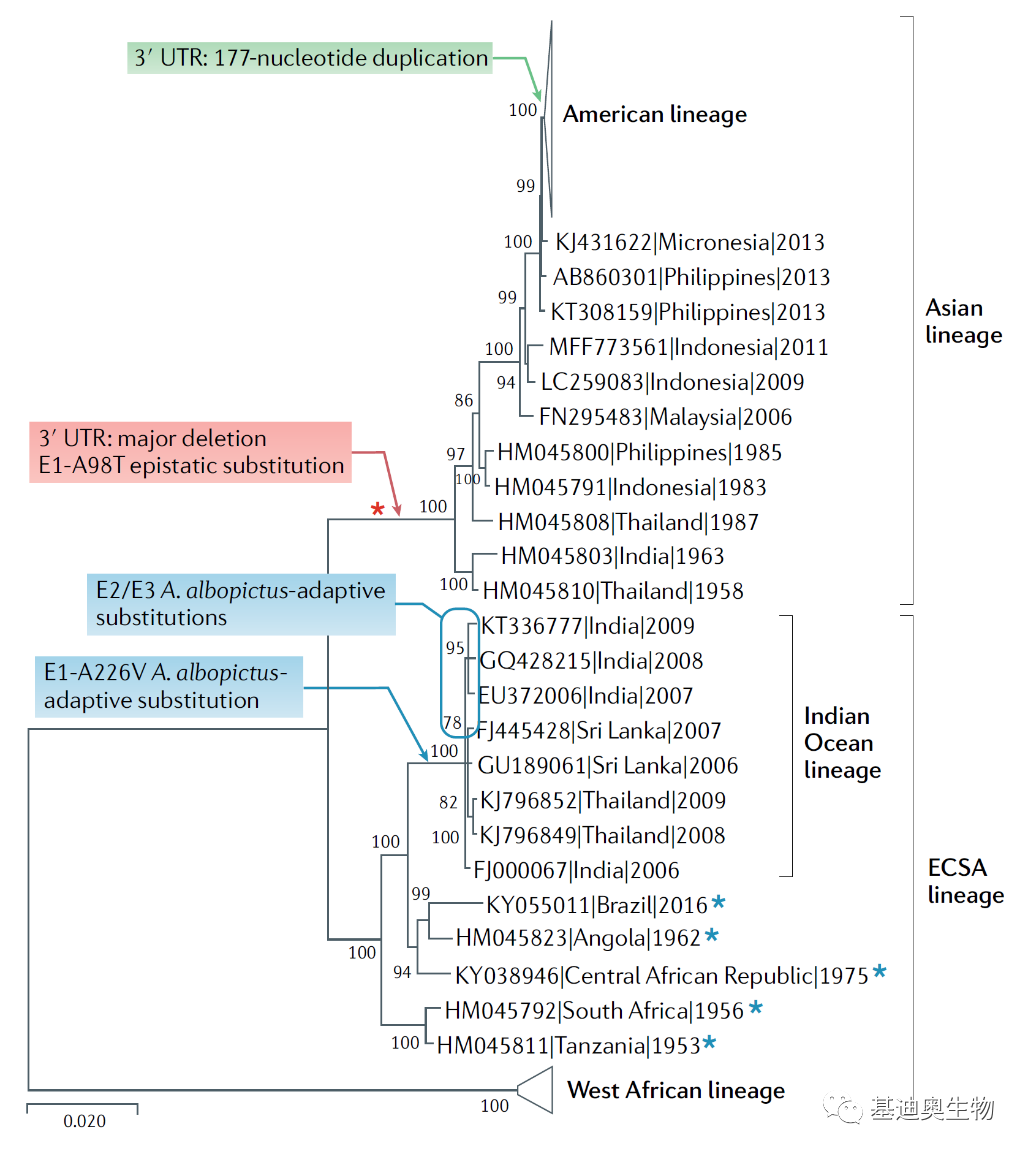 生信工具教程|如何绘制漂亮的进化树？ - 知乎