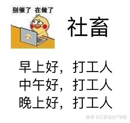 卑微程序员在线打工表情包合集zip