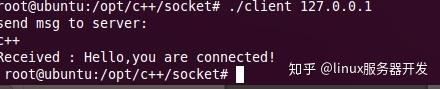 一文让你透彻理解Linux的SOCKET编程（含实例解析） - 知乎