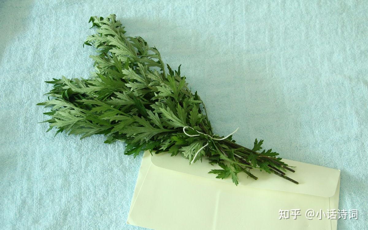 粽子为什么叫“角黍”,杨无咎词中的“角黍包金”,该如何理解? - 知乎