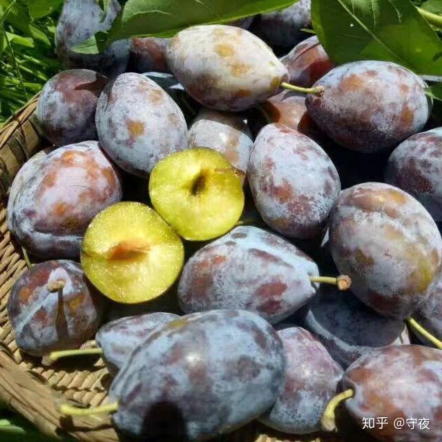 有什么很好吃的奇葩水果?