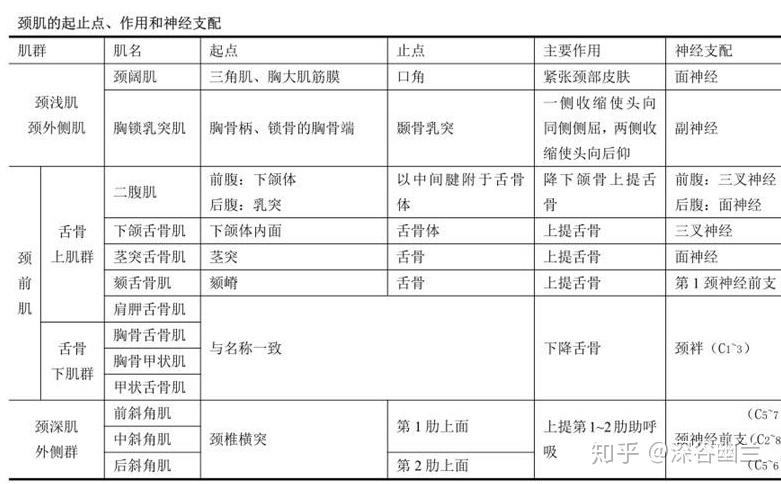 读书笔记二腹肌其他舌骨肌和颈前部肌的触发点