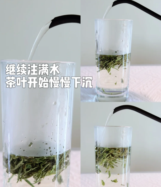 绿茶如何冲泡,绿茶的正确冲泡方法分享! - 知乎