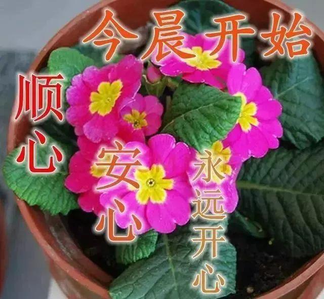 8月30日清早会说话的早安动态图表情包免打字,免打字问候早上好漂亮