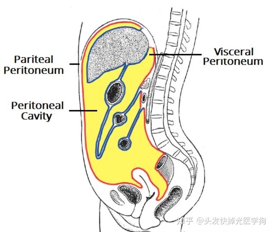 为什么会岔气图片