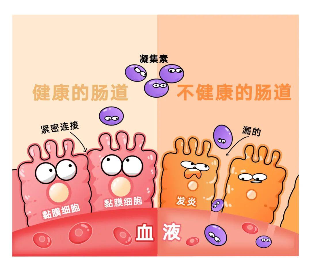 你知道吗,你吃的「植物」可能有毒:凝集素深度解析|野兽生活 - 知乎