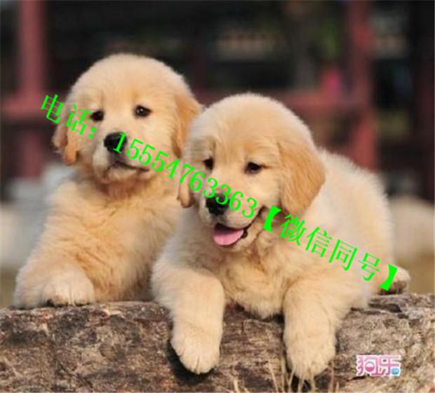 v2-03dae5d1f1d4317d0999b17263d44cf8_1440w.jpg?source=172ae18b