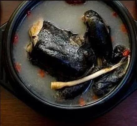 阴血之精华鹿尾