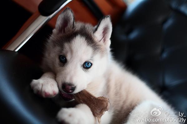 最后上两张之前nemo的照片～图片自己拍的,转载注明出处