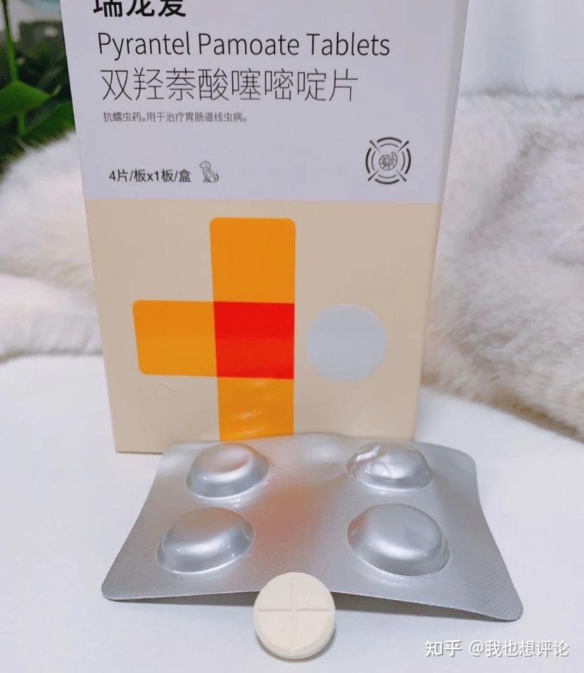猫咪为什么要驱虫不驱虫有什么危害吗