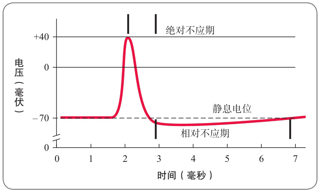 神经元 - 知乎