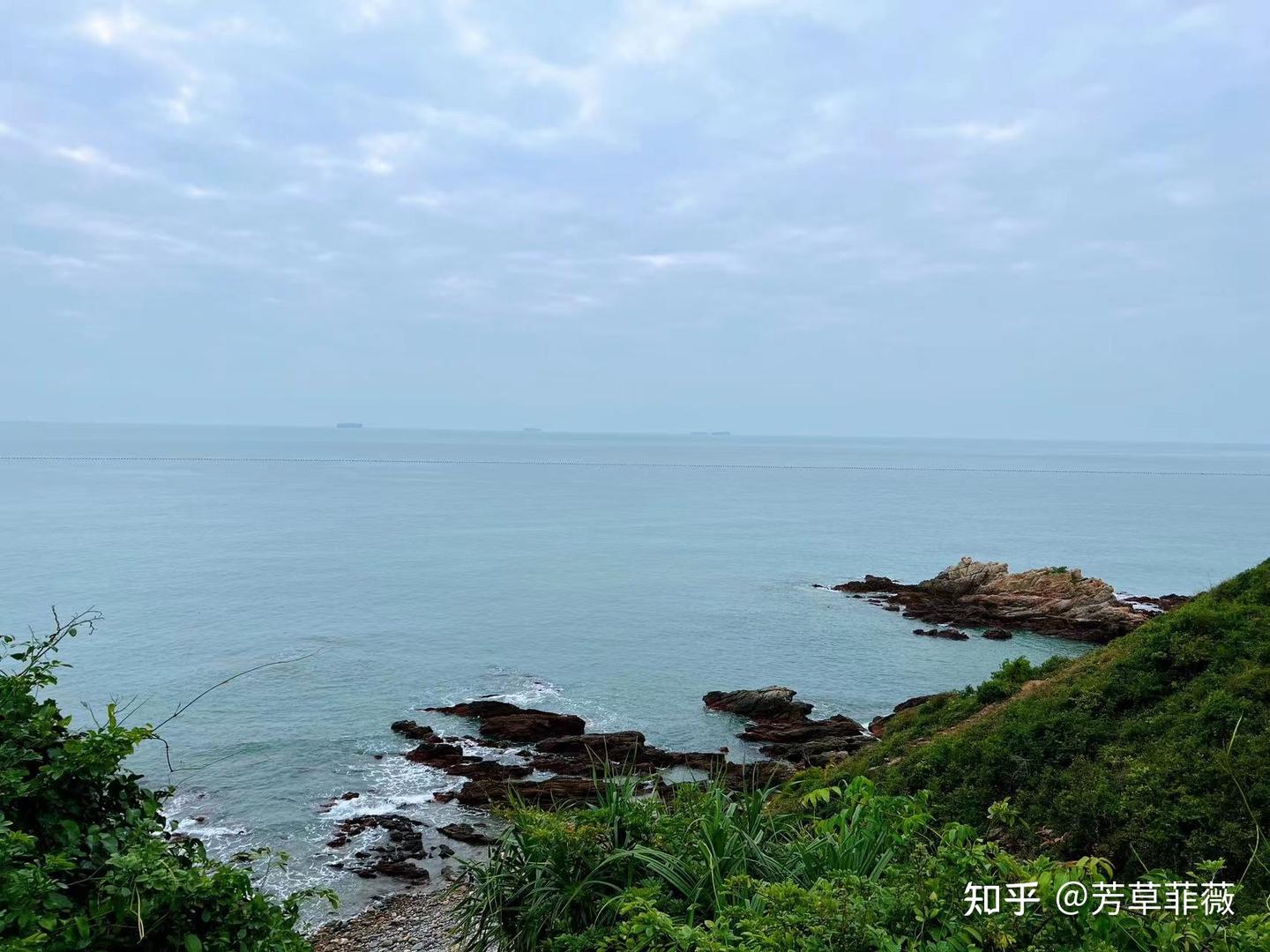 2025周末深圳好去处,深圳绿道徒步(持续更新中~) - 知乎