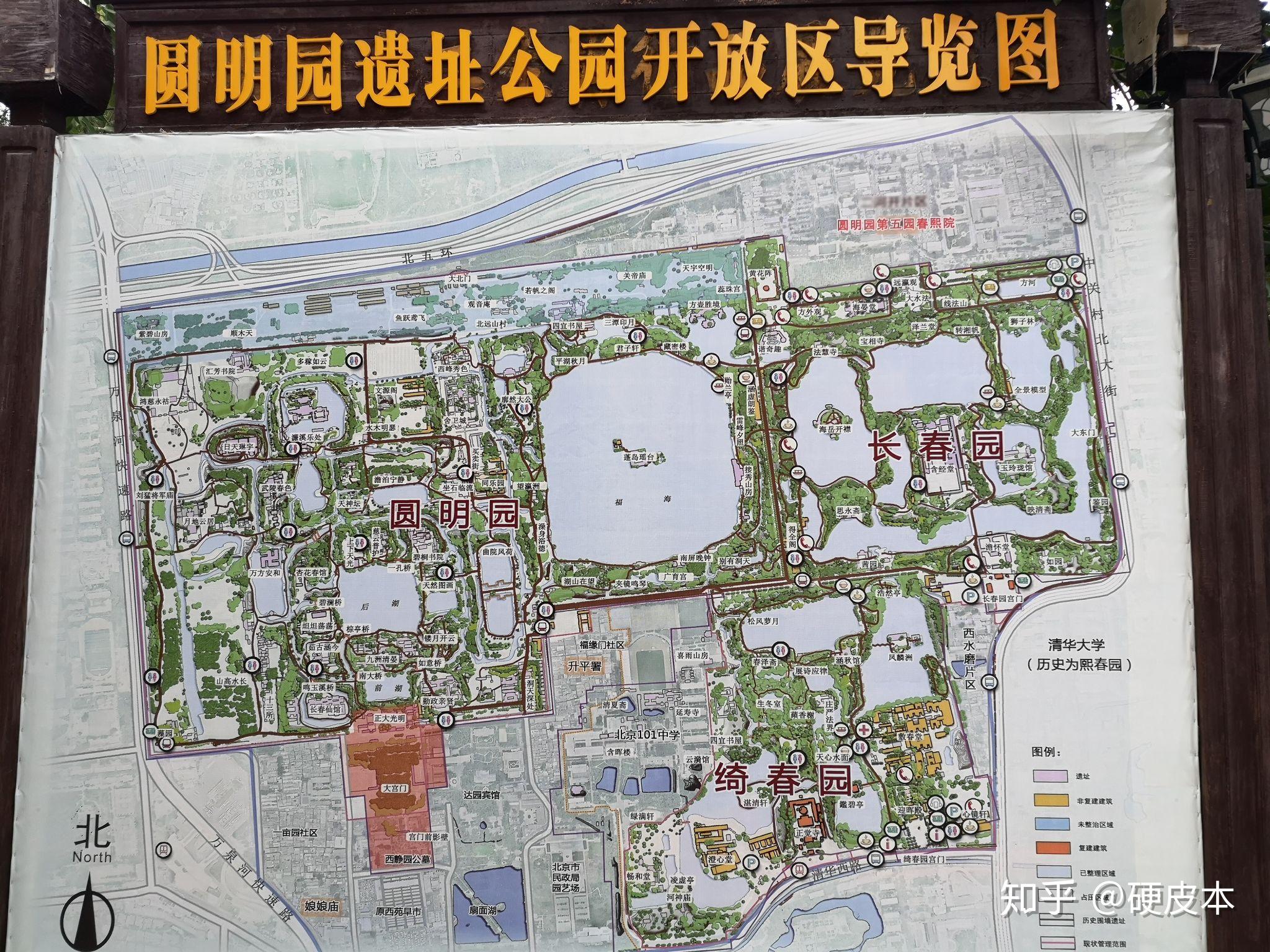 圆明园的荷花,锦鲤,网红天鹅及丑小鸭