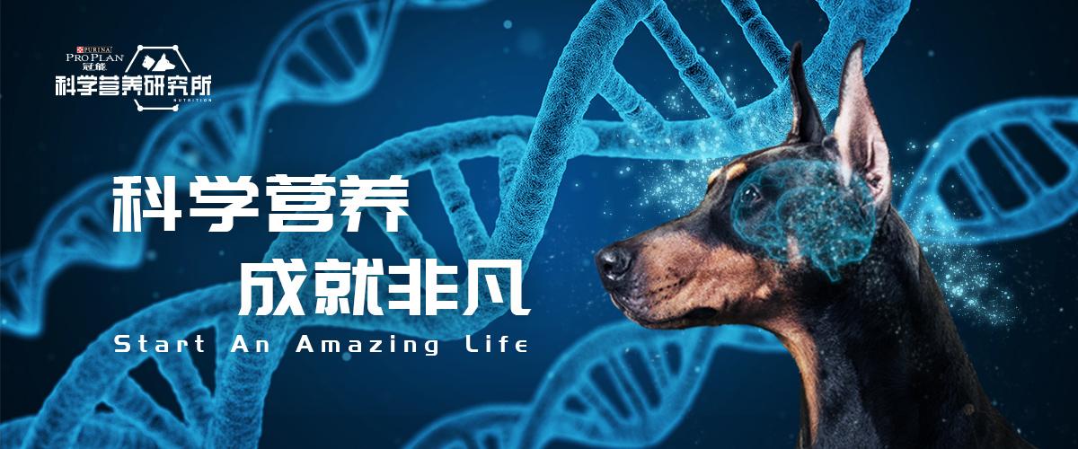 探索前沿生命科學以科學營養為寵物生命賦能