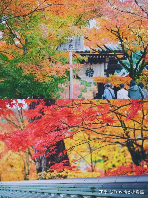 12个京都最美红叶赏枫拍摄地 全都给你找出来啦 知乎
