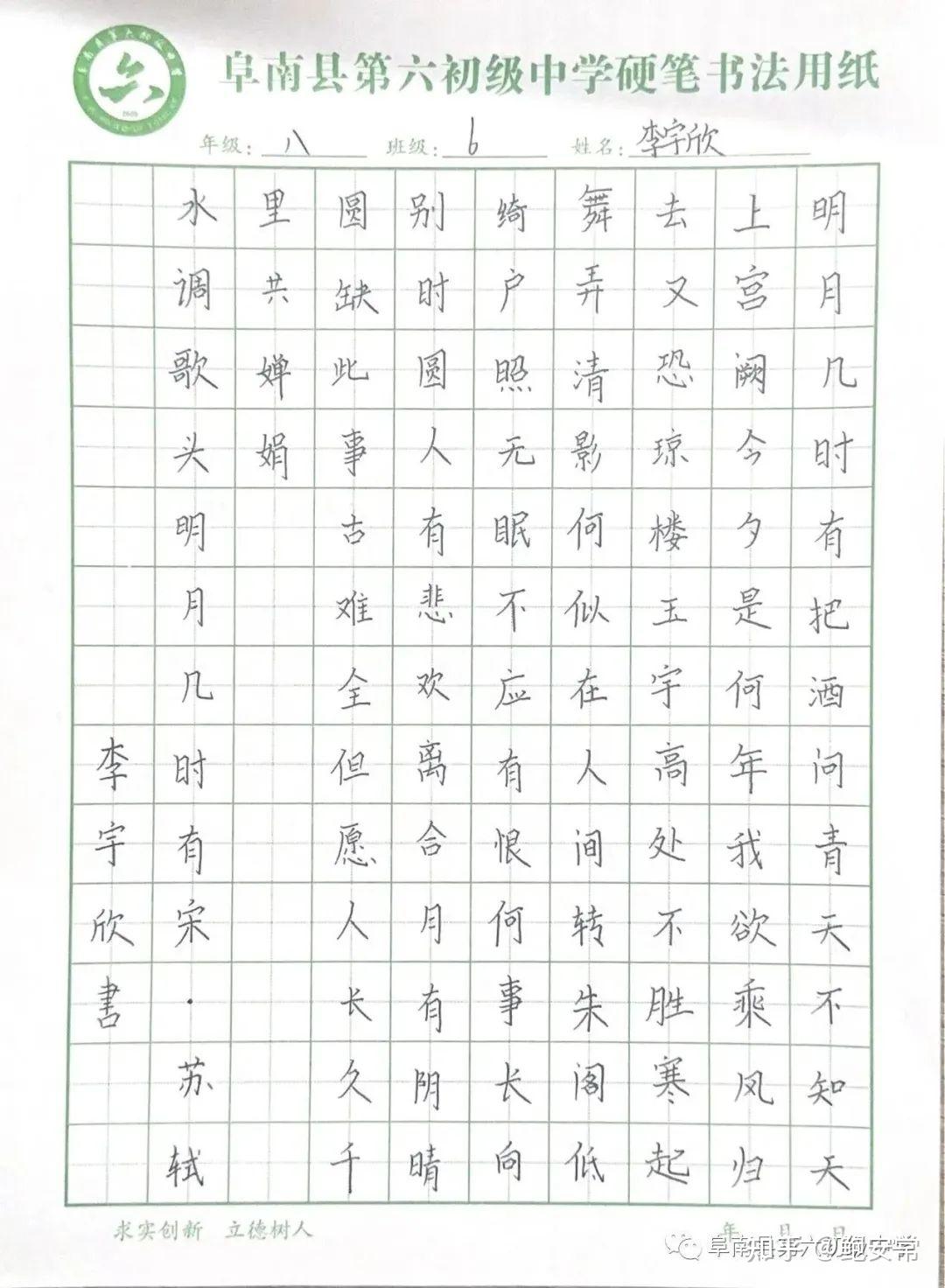 初一学生书法作品欣赏图片