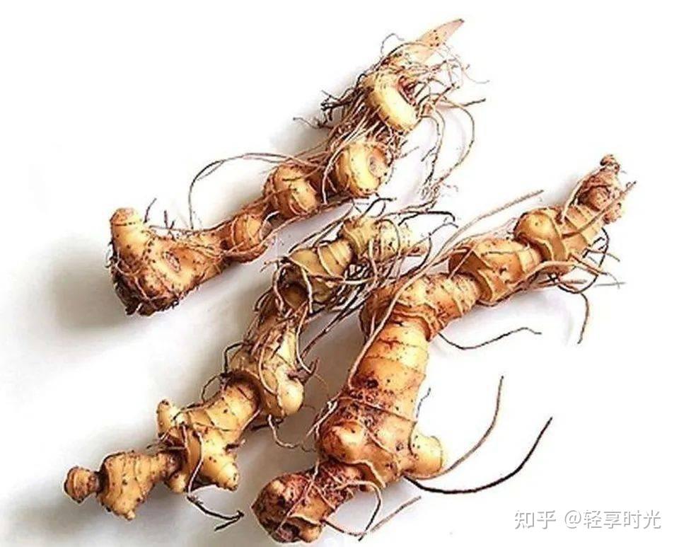 生黄精和制黄精的区别及食疗方法 - 知乎
