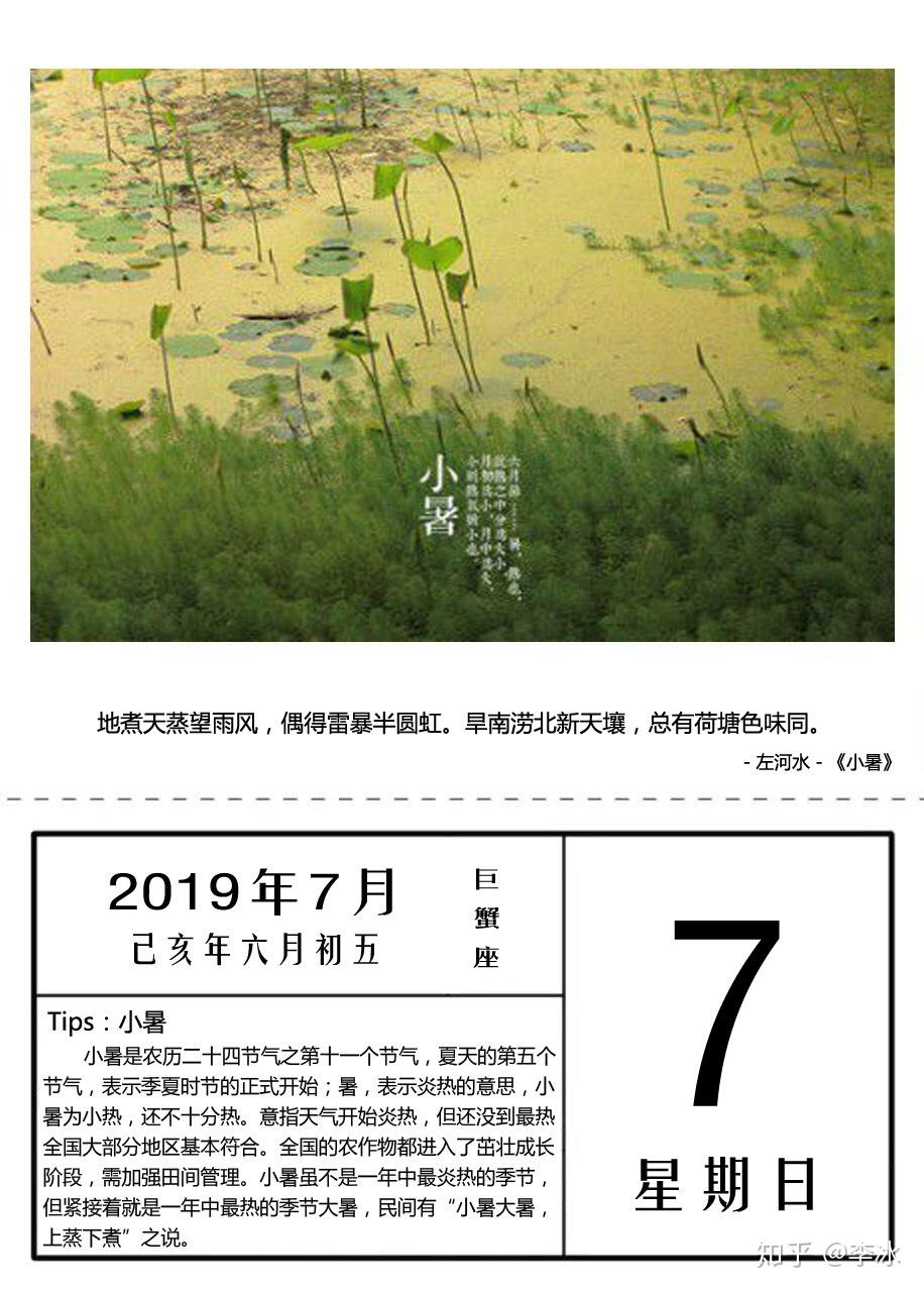 旱南涝北新天壤,总有荷塘色味同. - 左河水 - 《小暑》李冰