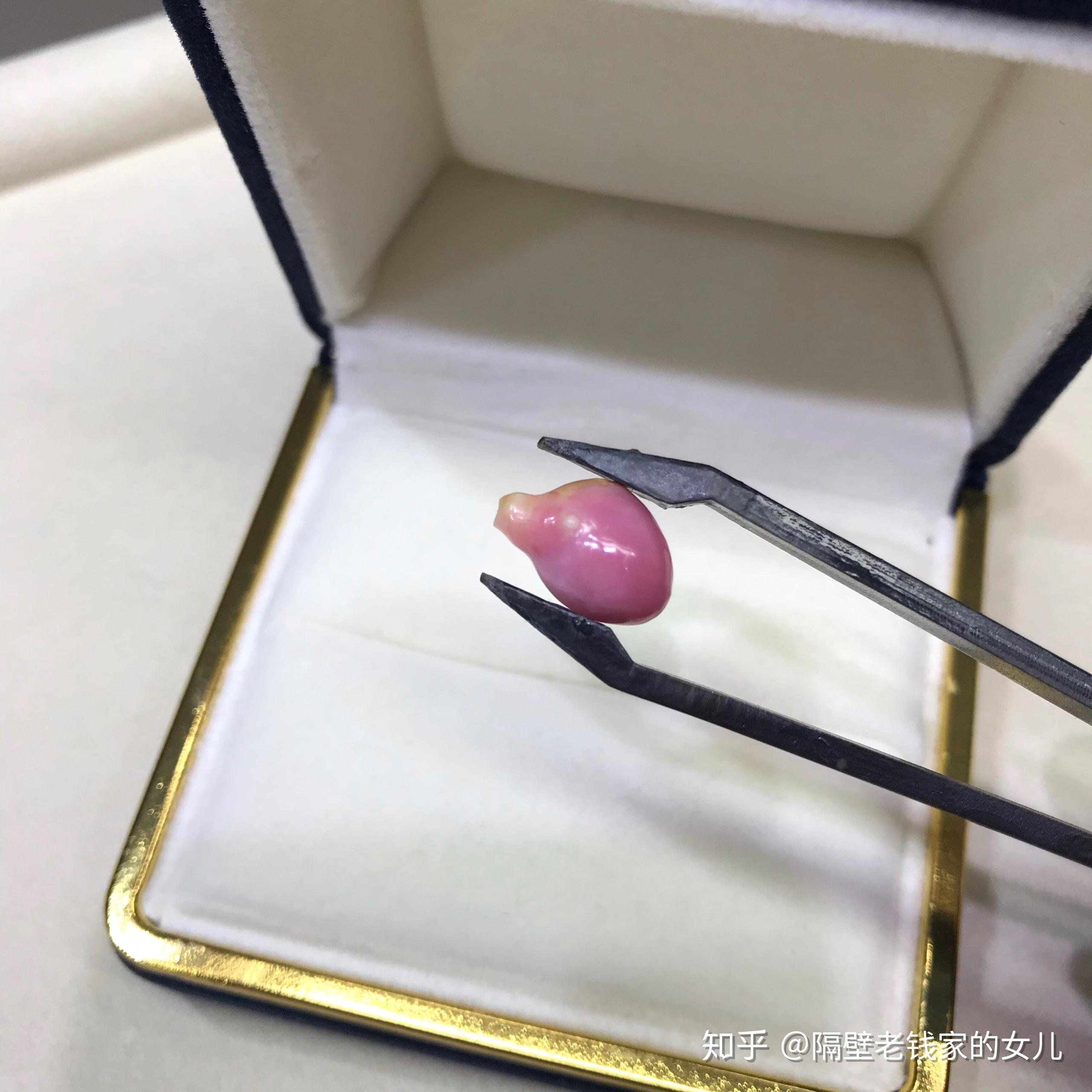 珍珠界中的爱马仕孔克珍珠海螺珠的一种了解下