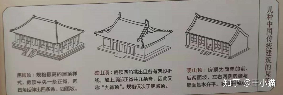 海马,海狮,海豹,说点你不知道的