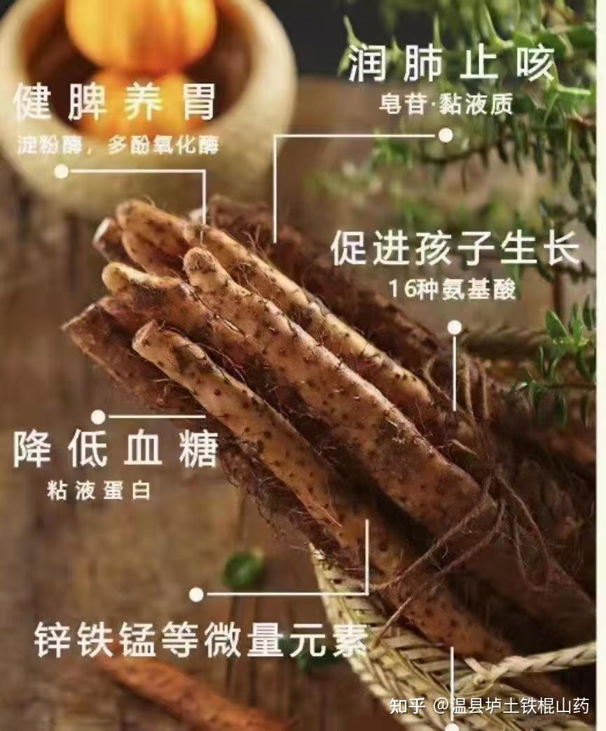 对肾最滋养的六种食物,补肾固本!肾好了,人就有劲了! - 知乎