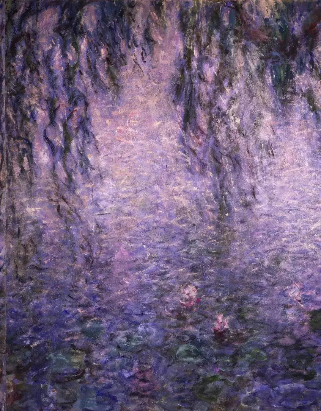 对这个花园进行改进,他们从埃及,南美移栽了大量的睡莲到池塘里,并且