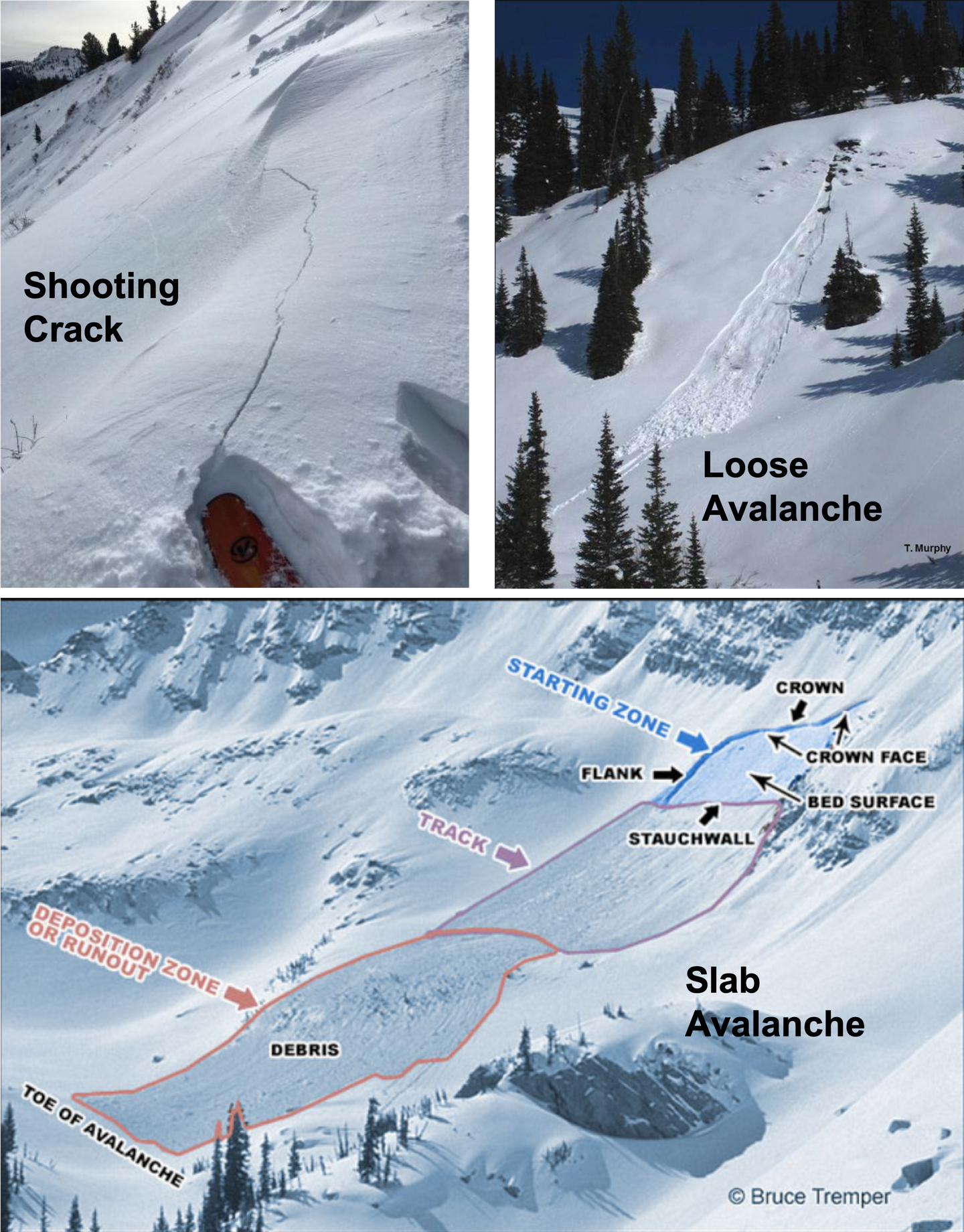 AIARE 雪崩研究课程笔记- 知乎