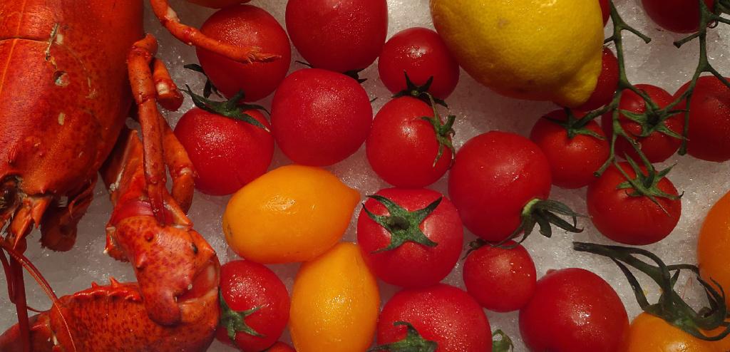 如何评价锤子科技2018年5月15日鸟巢发布会?