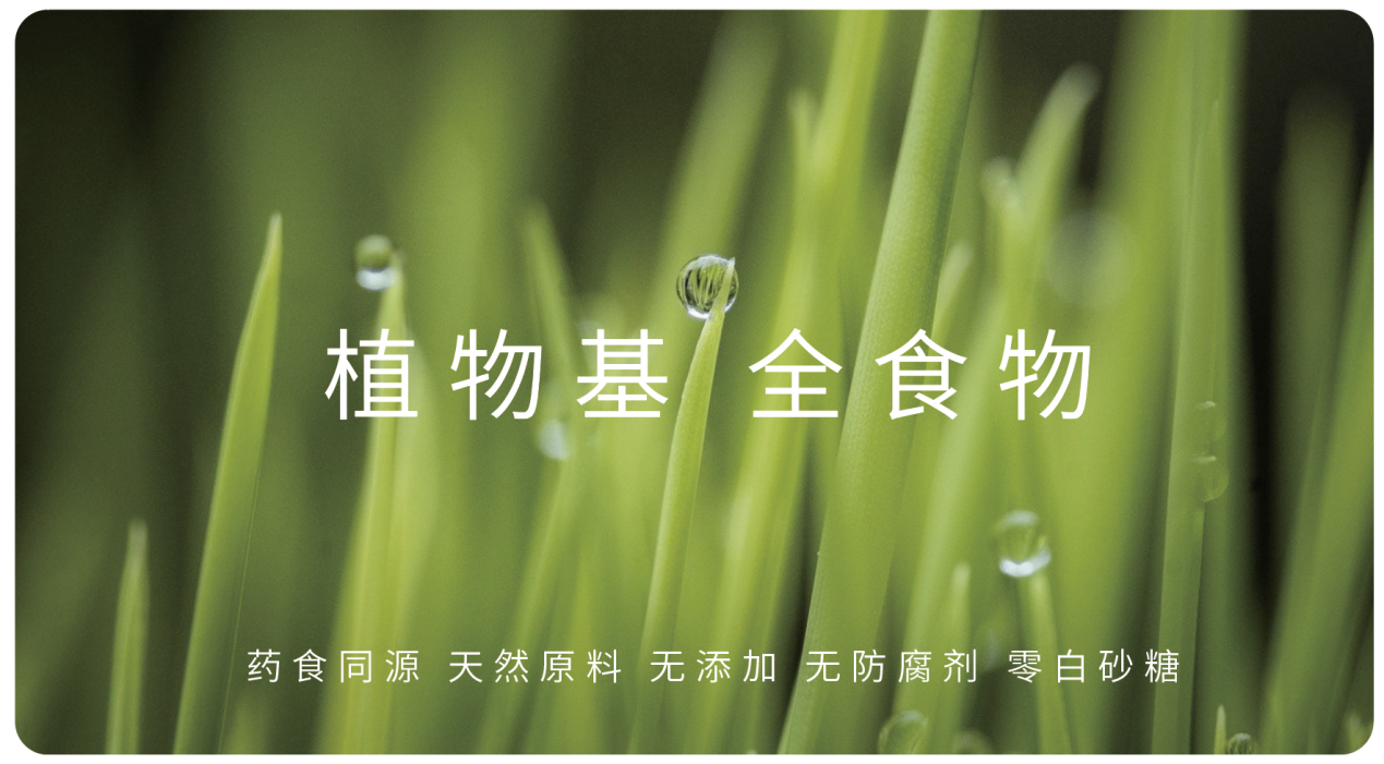 贯景食品胡冰深耕食品与大健康产业研发植物基产品乘势而上