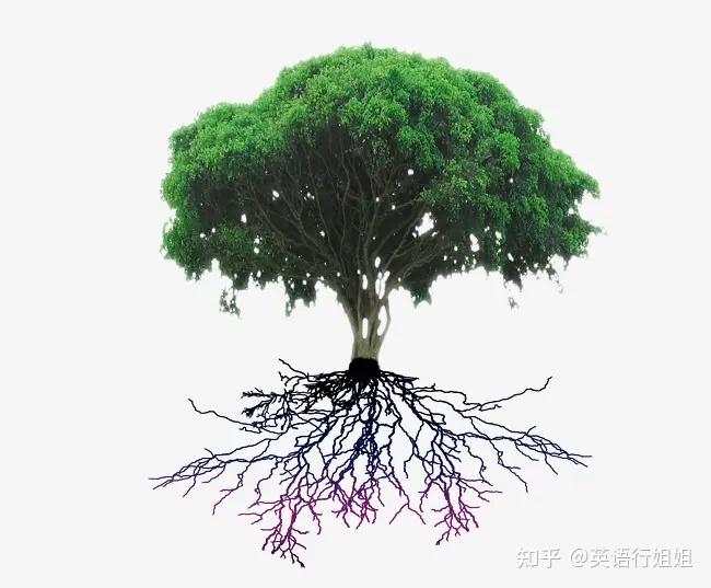 一文读懂企业文化4层次及核心(中英双语) - 知乎