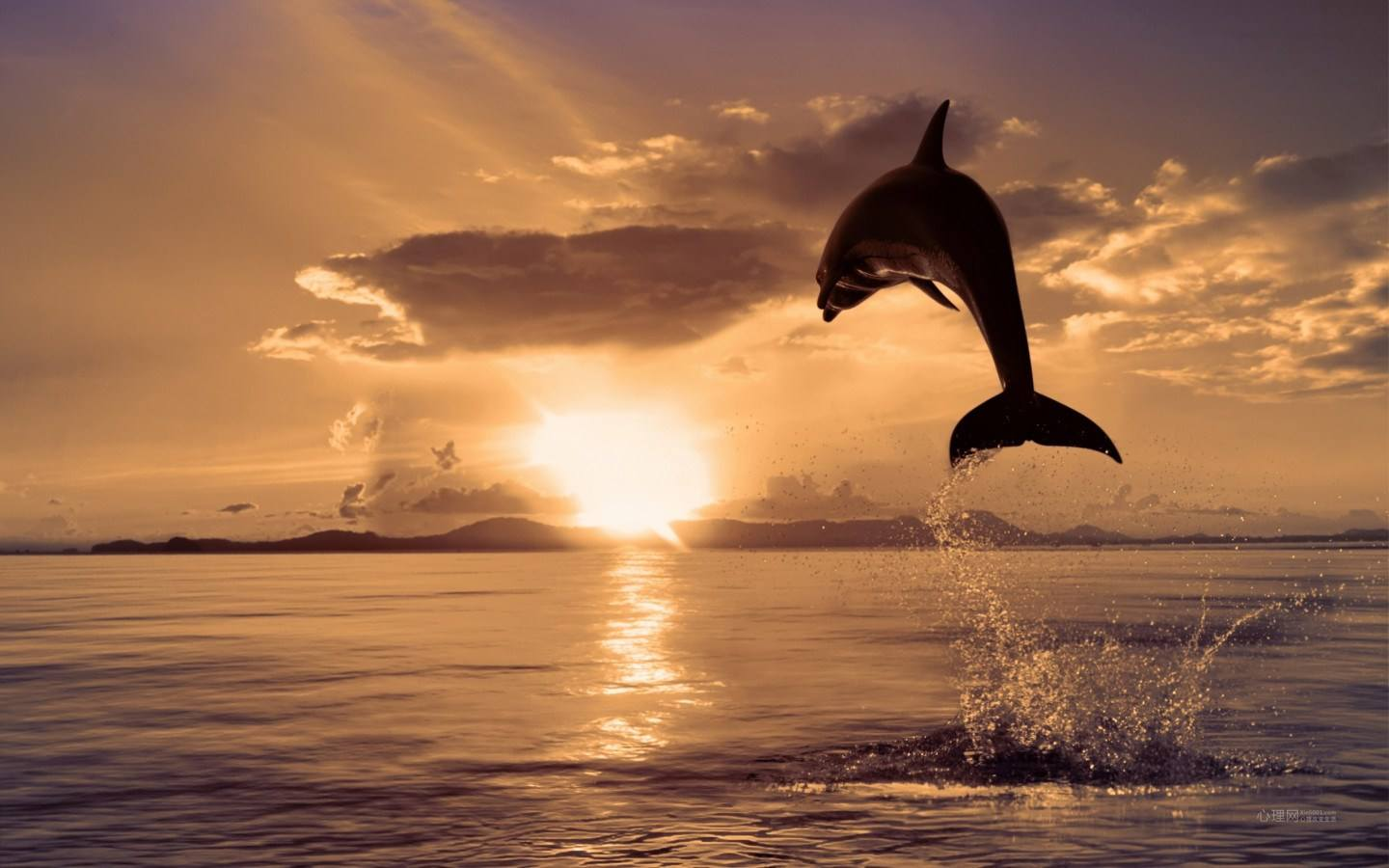 1400只海豚在丹麦捕杀鲜血染红了大海