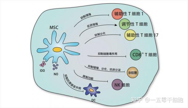 干细胞治疗48例多发性硬化的临床研究 - 知乎