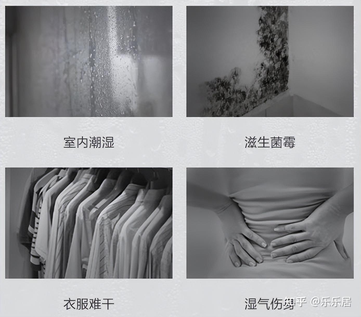 潮湿天气是开窗好还是不开窗好？家里如何除湿？教你正确方法！ - 知乎