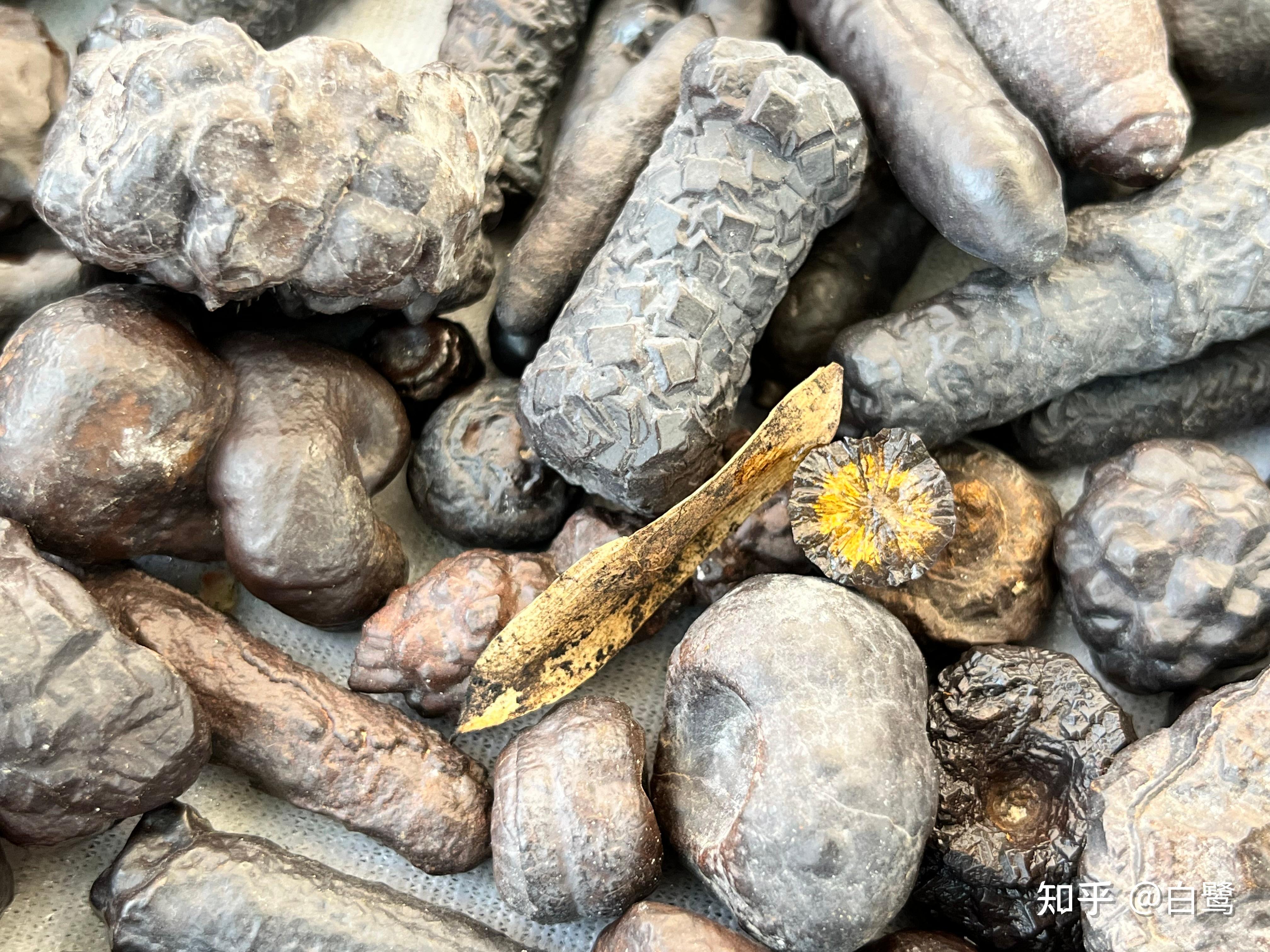 埃及褐铁矿及其他