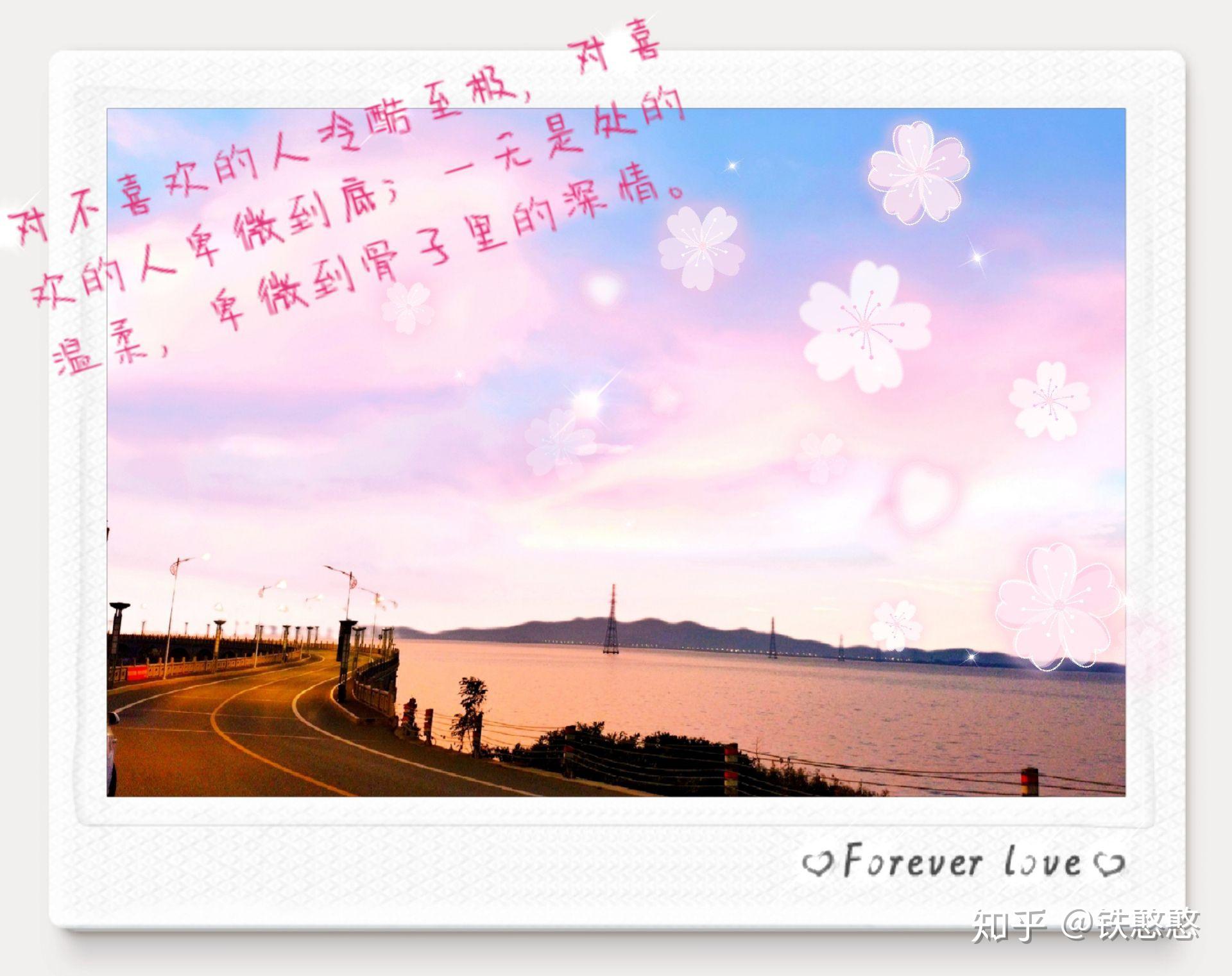 无文案 - 知乎