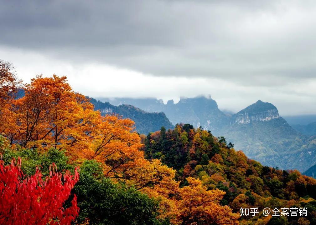 光雾山红叶实力霸屏,惊艳了整个秋天!