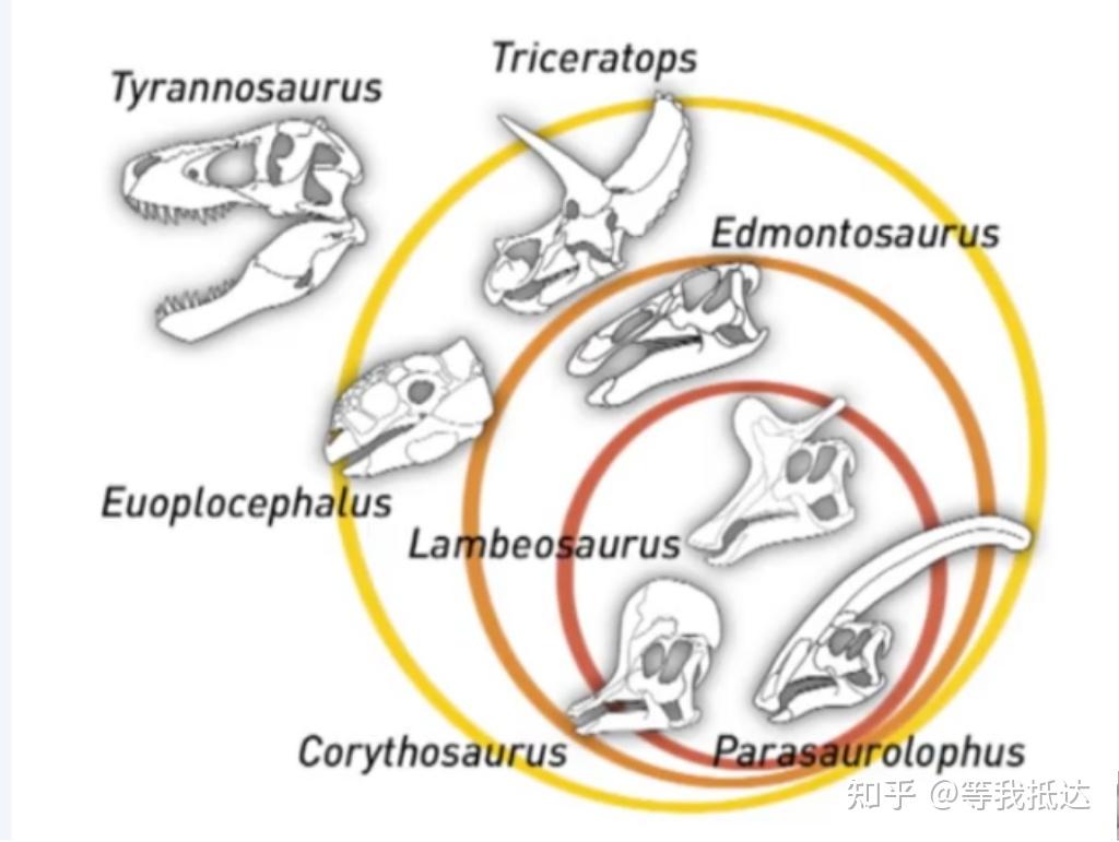 Dinosaur Classification Chart / 恐龙分类图 - 知乎