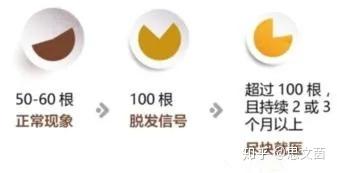 怎么判断是否是舟状头 v2-0566769be15a9f0911adc9de0290aae1_b.jpg