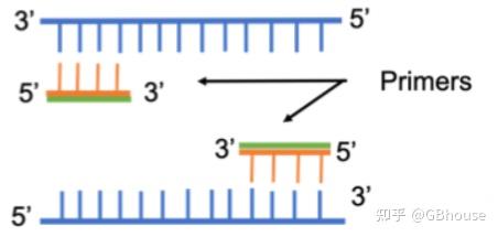 最强qRT-PCR)NCBI/oligo 7引物设计,附加oligo 7 + DNAstar软件 - 知乎