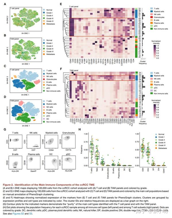 Nid237 an immune atlas of clear cell renal cell carcinoma 