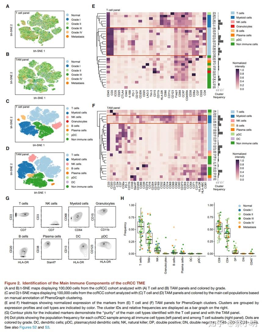 Nid237 an immune atlas of clear cell renal cell carcinoma 