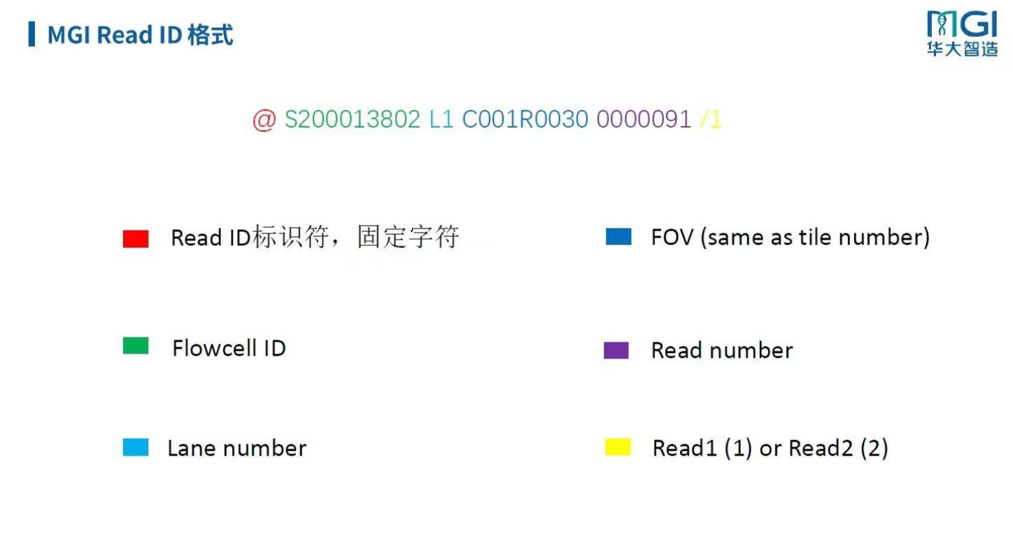 Mgi fastq reads 