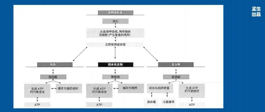 v2-0585a0d6cda45a74c4fe65f5272c4c6d_r.jpg