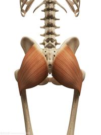 臀肌挛缩的前前后后