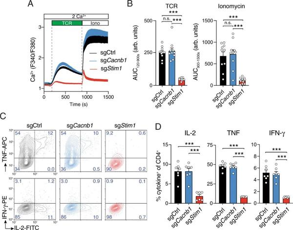 Nature Communications：钙通道在 T 细胞中的扩展作用 - 知乎